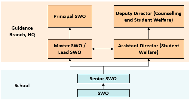 Career Pathway For SWOs