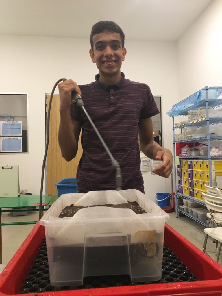  Amit Singh s/o Mahendra Singh Alumni - Eden School