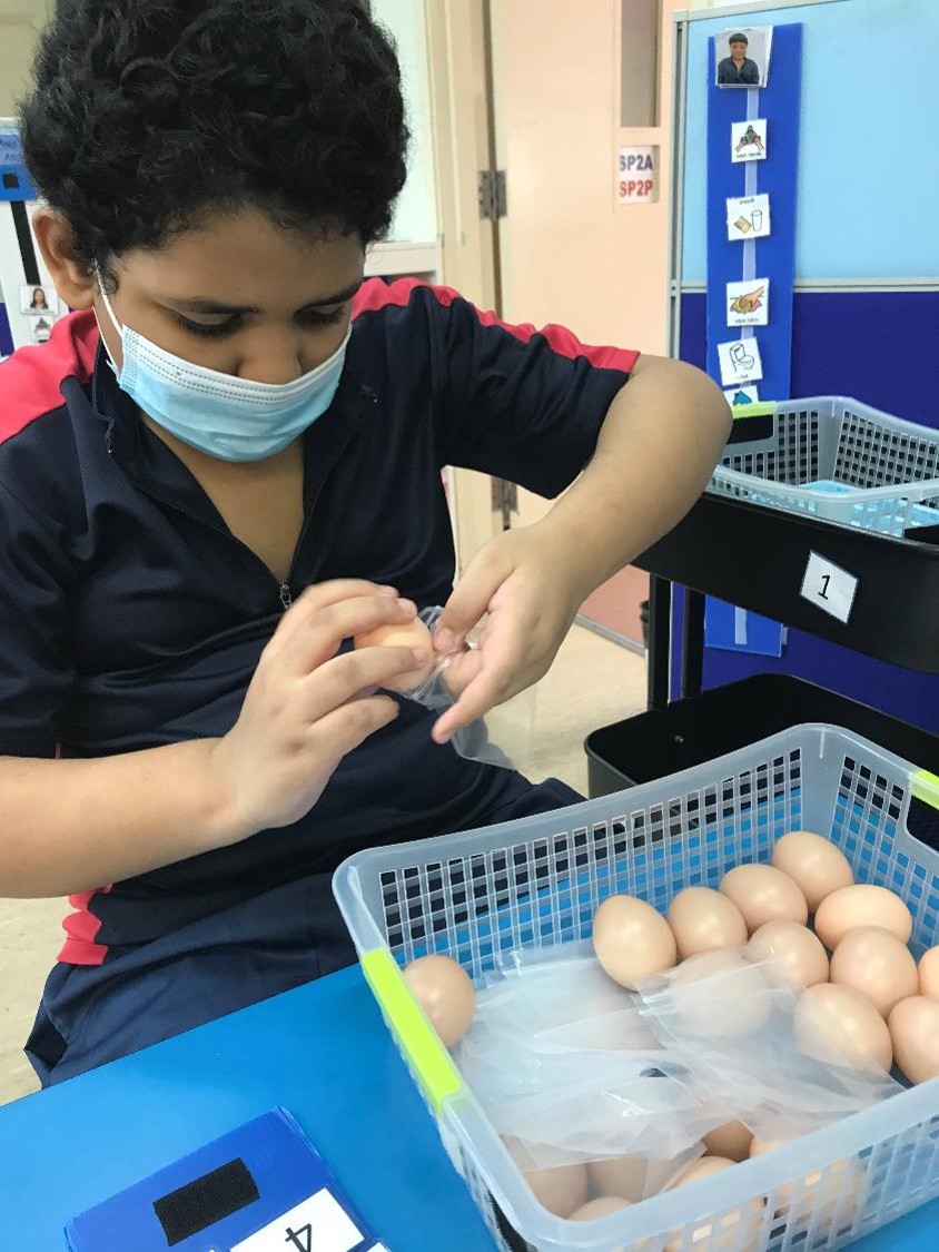 Syed Anis Bin Syed Mohd Alsagoff - Towner Gardens School