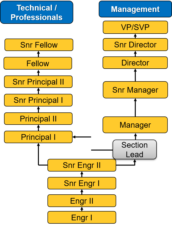 REC Solar career progression pathway