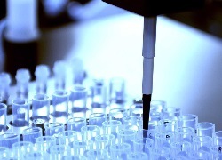 Biomedical and Pharmaceuticals