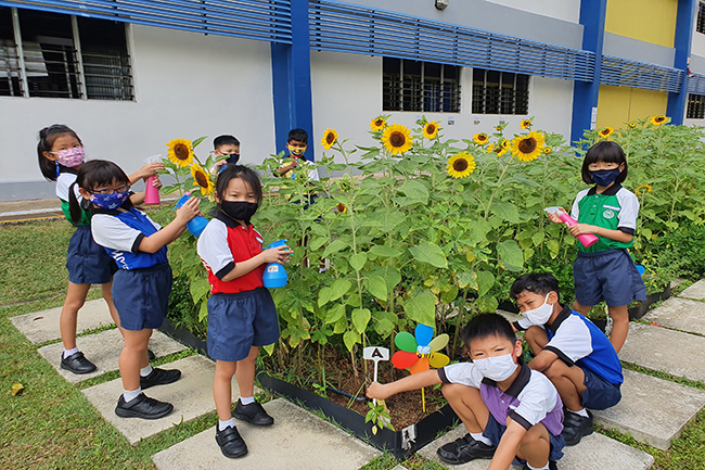 Little green fingers - OSOS 2021 MOE staff Priceless Moments